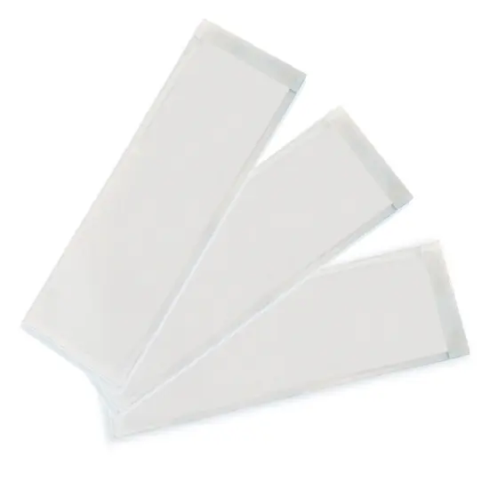 Clear View Self-Adhesive Extra Small Name Plate Pocket 3-1/4" x 10-1/2", 25 Per Pack, 2 Packs {2}