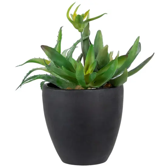 Northlight Potted Green Artificial Mixed Succulent Plant Arrangement - 11" {1}