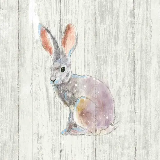 Into the Woods I no Border on Barn Board Poster Print by Emily Adams - Item # VARPDX26476 {1}