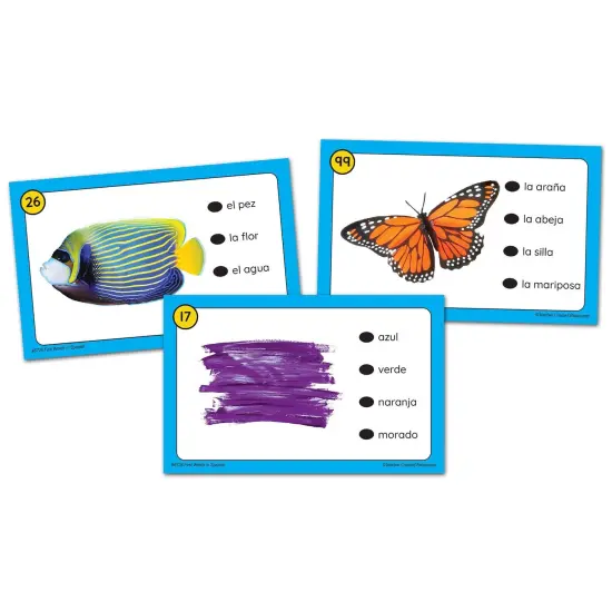 Power Pen&reg; Learning Cards: First Words in Spanish {3}