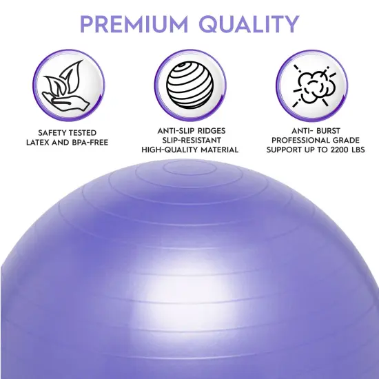 Balance Ball, 65cm, Purple {6}