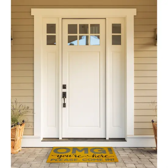 DII OMG You're Here Doormat 18x30 {2}