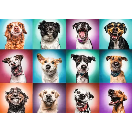 2000 piece Jigsaw Puzzles - Funny dog portraits II, Pets Puzzle, Adult Puzzles, Trefl 27119 {2}