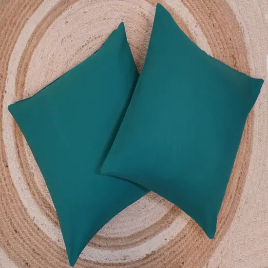 Tropical Teal Pillow Only {3}