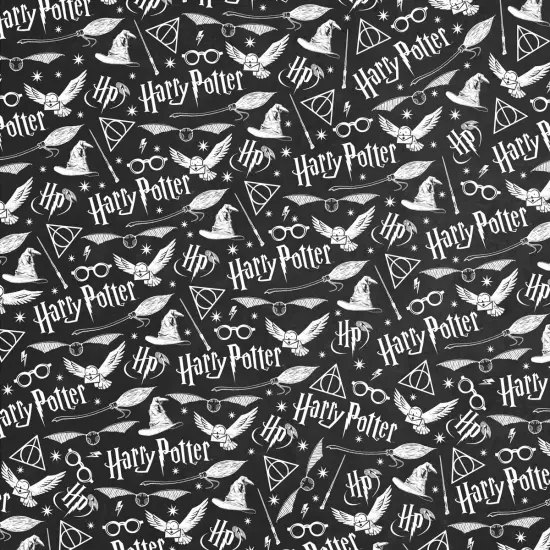 Paper House Harry Potter Double-Sided Cardstock 12"X12"-Harry Potter Pattern {3}