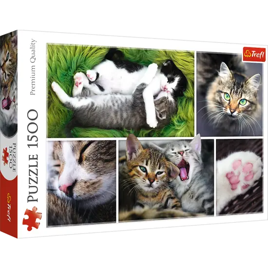 1500 Piece Jigsaw Puzzle, Just Cat Things Collage, Pets, Cats and Kittens, Animal Collage, Adult Puzzles, Trefl 26145 {1}