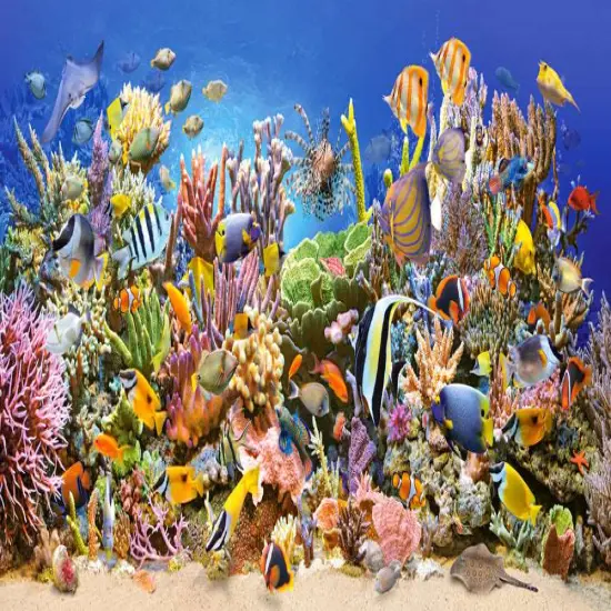 4000 Piece Jigsaw Puzzle, Underwater life, Sealife, Ocean, Adult Puzzles, Castorland C-400089-2 {2}
