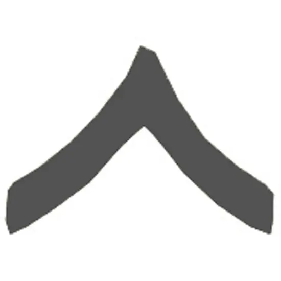 U.S.M.C. Private First Class Rank Insignia Black Pin {1}