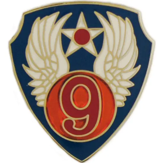 EagleEmblems P14694 PIN-USAF,009TH (1'') {1}