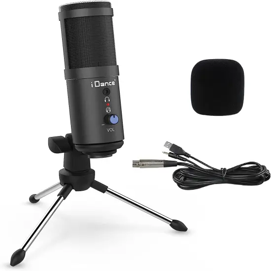 IDANCE RECORD STUDIO MIC 2 {1}