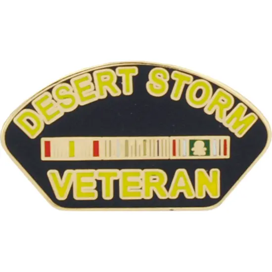 EagleEmblems P14249 Pin-DEST.Storm,Veteran (1.25'') {1}