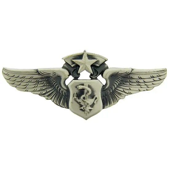 EagleEmblems P16344 Wing-USAF,FLT.Nurse,MAST. (3'') {1}