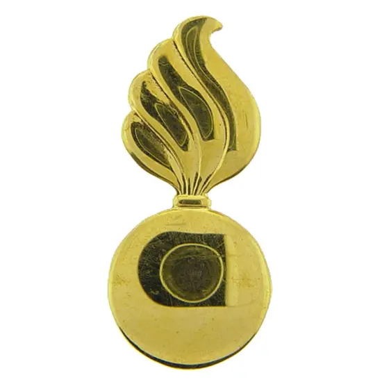 EagleEmblems P14119 PIN-Army,Ordnance,EOD (1'') {1}