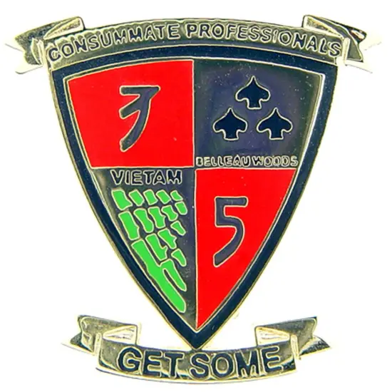 U.S.M.C. 3rd Battalion 5th Marines Pin 1" {1}