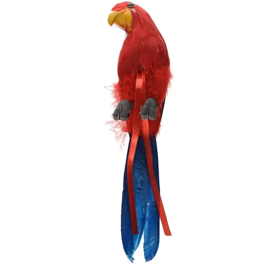 Feathered Parrots (Pack of 6) {1}