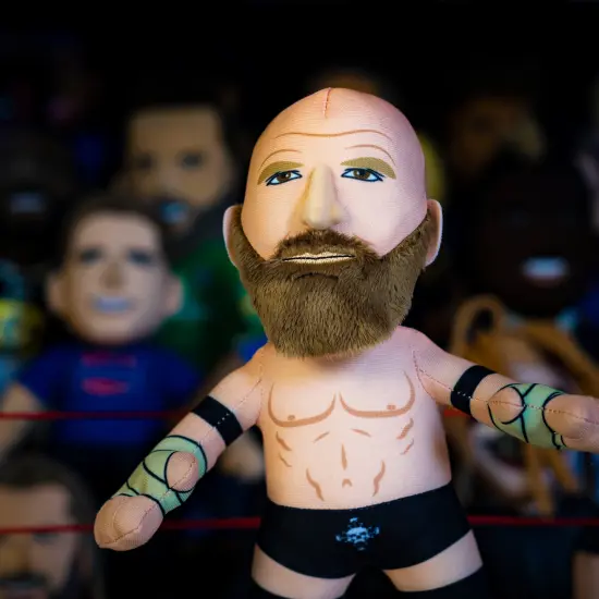 Bleacher Creatures WWE Legend Triple H 10" Plush Figure {6}