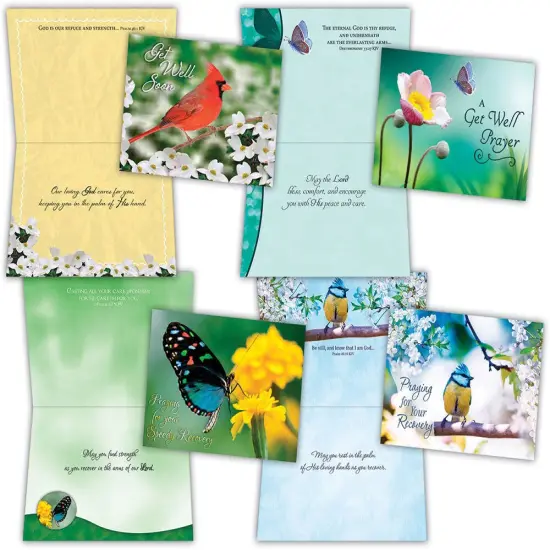 Get Well - Birds and Butterflies - Assorted Get Well Cards {1}