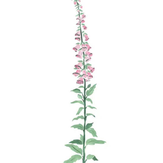 Small Foxglove Flower Wall Stencil | 2747R by Designer Stencils | {2}