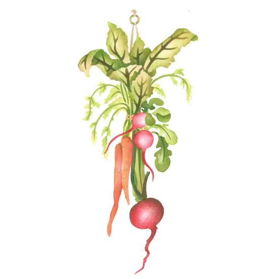 Hanging Vegetable Spray Wall Stencil | 3272 by Designer Stencils | Reusable Art Craft Stencils for Painting on Walls, Canvas, Wood | Reusable Plastic Paint Stencil for Home Makeover | Easy to Use & Clean Art Stencil {1}