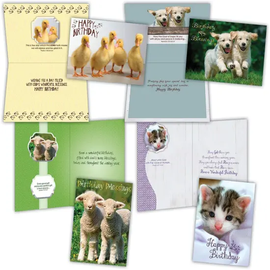 Birthday - Fur and Feathers - Assorted Birthday Cards, Box of 12 {1}