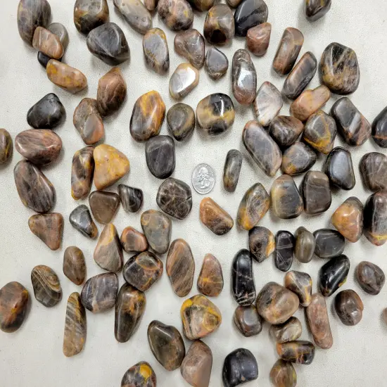 Tumbled Black Moonstone Crystals from India {3}