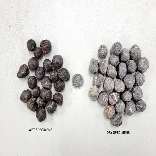 Garnet Crystals - Raw Rough Stones Bulk {6}