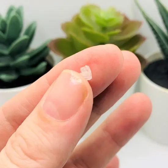 100, 500 or 1,000 Pieces: Flower Earring Stopper Backs {5}