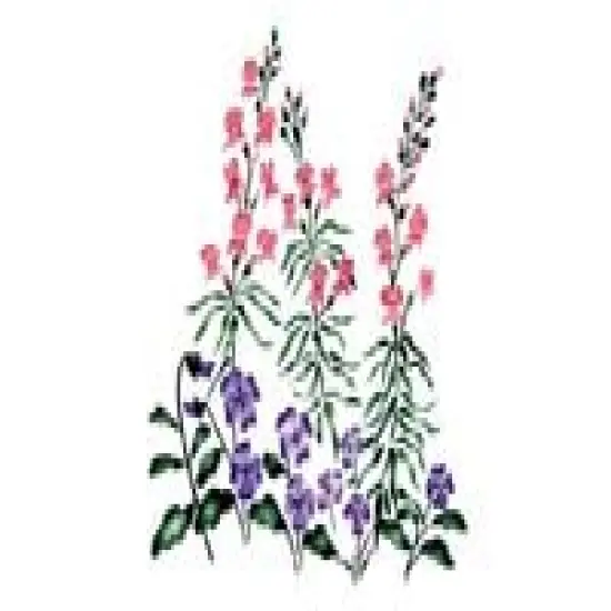 Snapdragons and Pansies Wall Stencil | 3083 by Designer Stencils | Floral Stencils | {2}