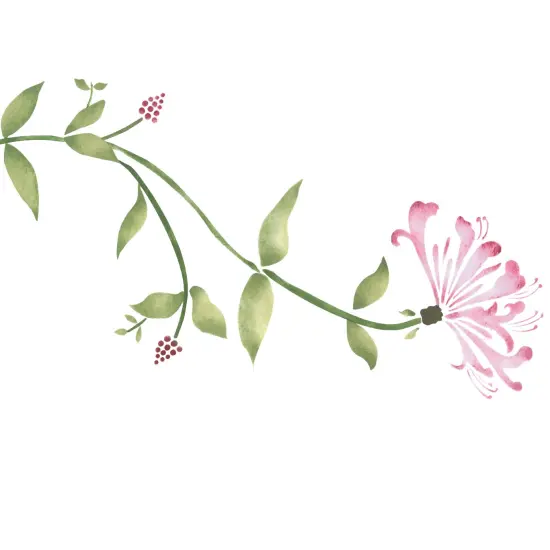 Honeysuckle Flower Wall Stencil | 3301 by Designer Stencils | Floral Stencils | Reusable Art Craft Stencils for Painting on Walls, Canvas, Wood | Reusable Plastic Paint Stencil for Home Makeover | Easy to Use & Clean Art Stencil {2}
