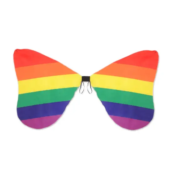 Fabric Rainbow Wings, (Pack of 6) {1}