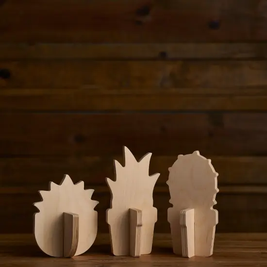 Slotted Succulents - Set of 3 {1}