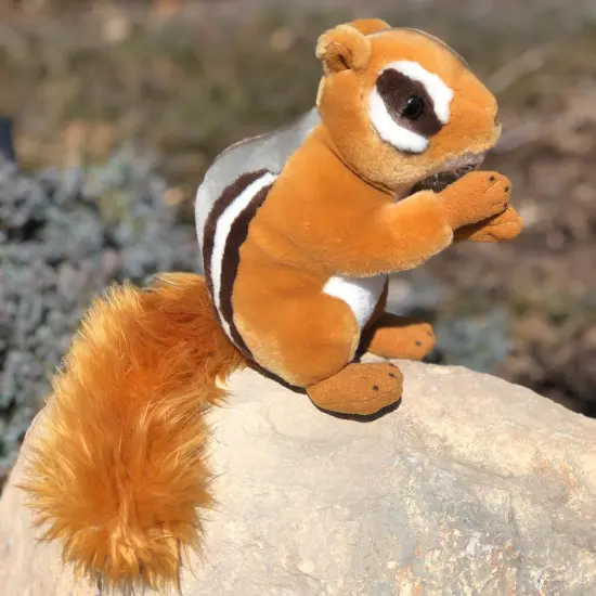 Meet Our Mini Chipmunk, Chipster&trade;: The Perfect Cuddly Companion {1}