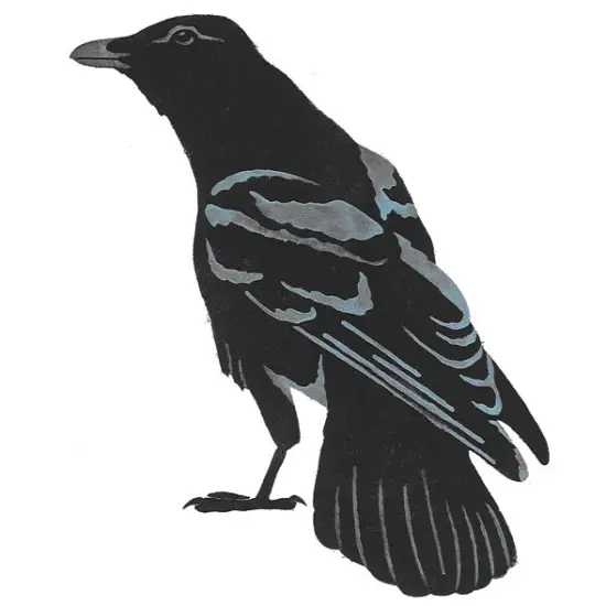Crow Wall Stencil | 2961 by Designer Stencils | Reusable Art Craft Stencils for Painting on Walls, Canvas, Wood | {2}