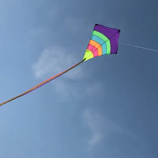 In the Breeze 3304 - Neon Arch 27 Inch Diamond Kite - Single Line - Includes Kite Line and Bag {2}