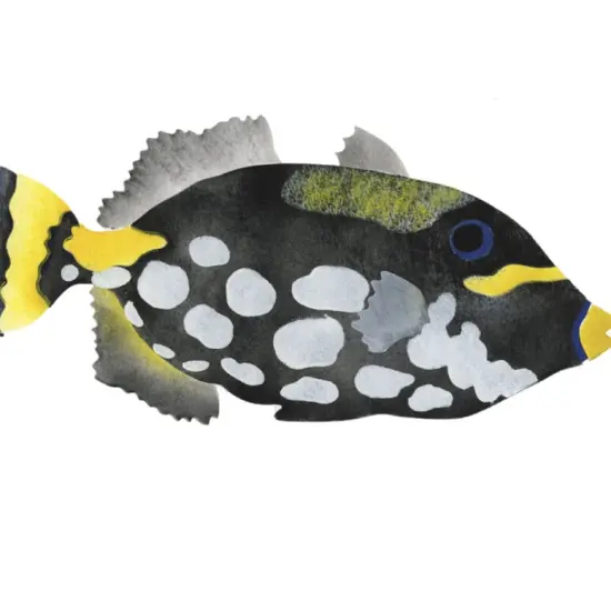 Clown Trigger Fish Wall Stencil | 3015 by Designer Stencils | Animal & Nature Stencils | Reusable Art Craft Stencils for Painting on Walls, Canvas, Wood | Reusable Plastic Paint Stencil for Home Makeover | Easy to Use & Clean Art Stencil {2}