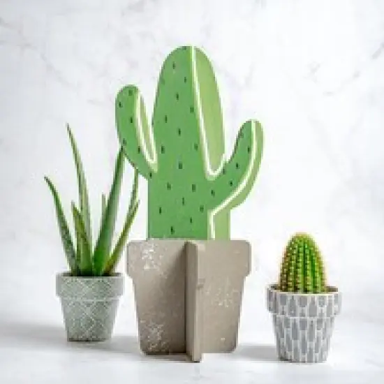 17 in. Unfinished Slotted Cactus {3}