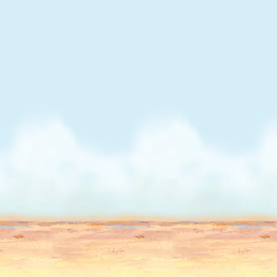 Desert Sky & Sand Backdrop (Pack of 6) {1}