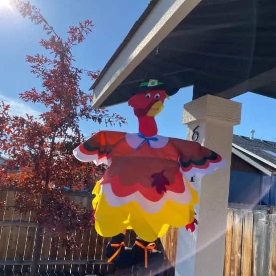 In the Breeze Turkey Wind Friend 3D Windsock {3}