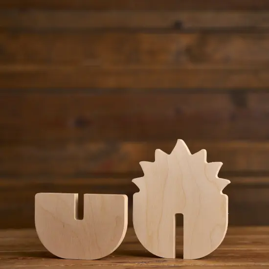 Slotted Succulents - Set of 3 {3}