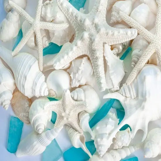 Sea Shells | Real Mixed Beach Seashells with Real Starfish & Caribbean Blue Sea Glass Seashell Wedding (2 Pack) {2}