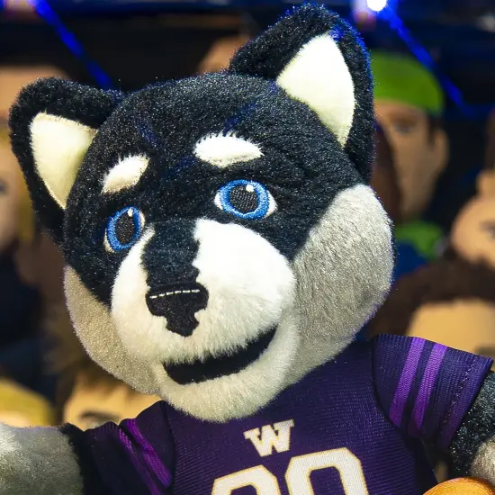 Bleacher Creatures Washington Huskies Harry the Husky 10" Plush Figure {4}