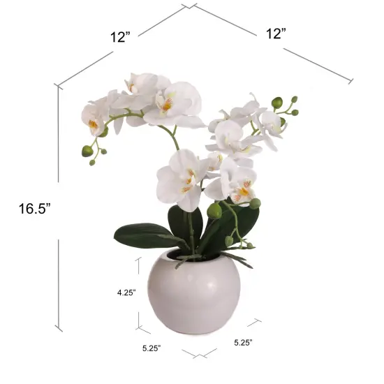 Phalaenopsis Orchid Arrangement: 13-Inch Silk Floral D&eacute;cor in Pot by Floral Home Artificial Flowers {2}