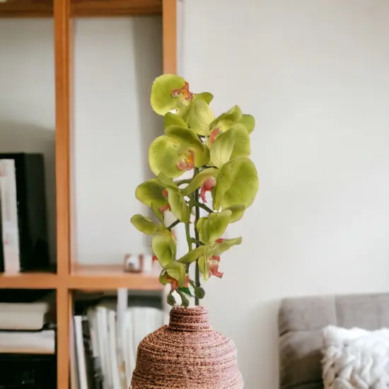 12-Pack: Real Touch Green Phalaenopsis Orchid Stem, Floral Home by Artificial Flowers {5}