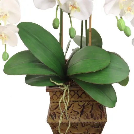21" Phalaenopsis Orchid Foliage Cluster Pick - 12-Pack, Lifelike Greenery, Perfect for Floral Arrangements, Home & Event D&eacute;cor - Ideal for All Seasons, Floral Home by Artificial Flowers {2}