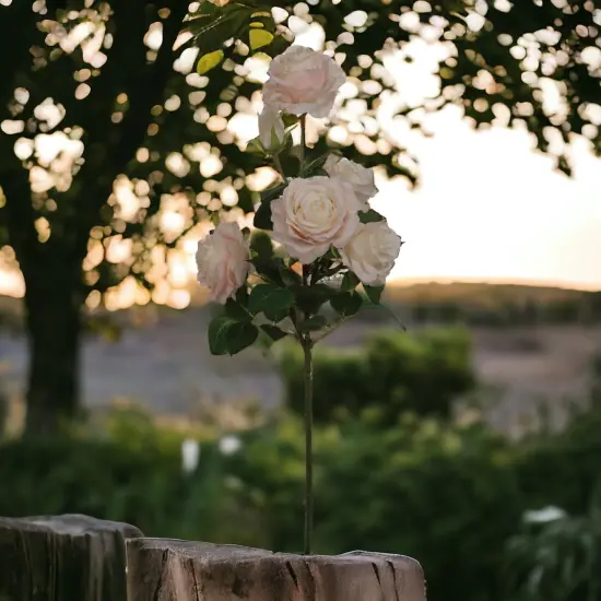 Cream & Pink Rose Spray: Set of 12, 27-Inch, Silk Roses by Floral Home&reg; {4}