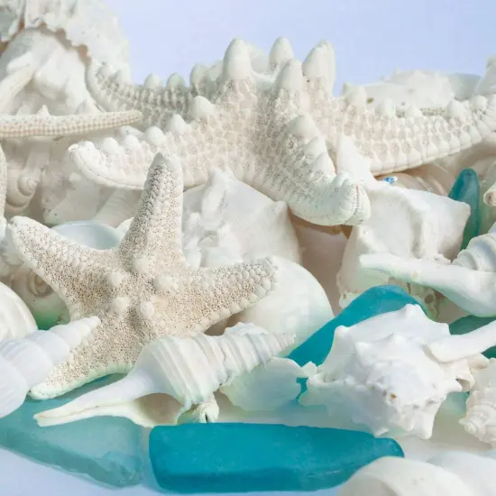 Sea Shells | Real Mixed Beach Seashells with Real Starfish & Caribbean Blue Sea Glass Seashell Wedding (2 Pack) {1}