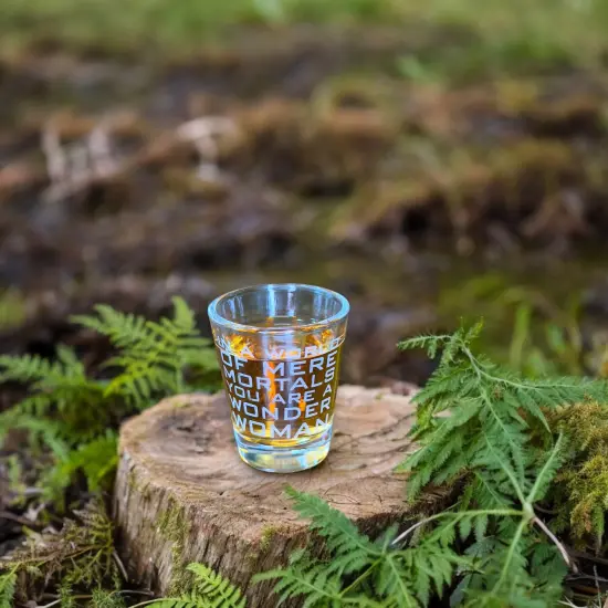 2oz In a World of Mere Mortals You Are a W W Shot glass {4}