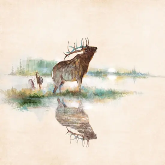 Misty Elk Poster Print by Ruane Manning - Item # VARPDX17622 {1}