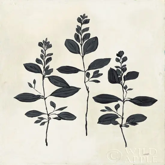 Botanical Study IV Poster Print by Julia Purinton - Item # VARPDX49722 {1}