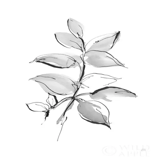 Wash Leaf I Poster Print by Chris Paschke # 65454 {1}